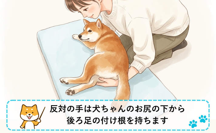 反対の手は犬ちゃんのお尻の下から後ろ足の付け根を持つ
