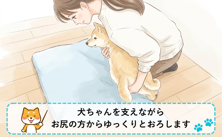 犬ちゃんを支えながら、お尻の方からゆっくりとおろす