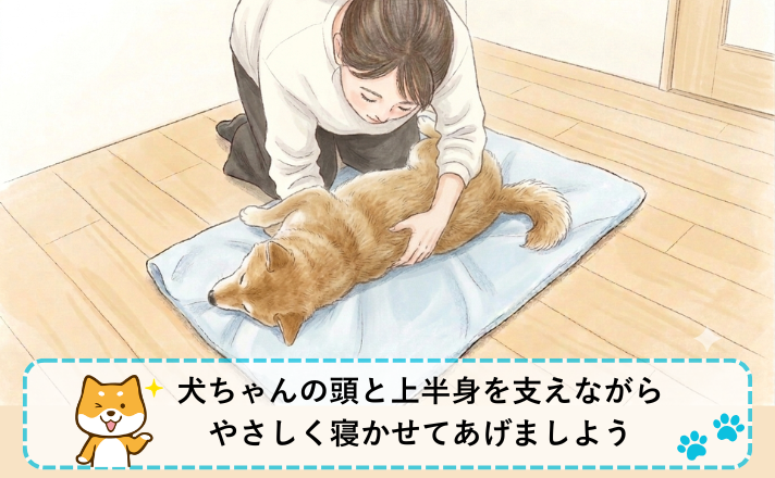 犬ちゃんの頭と上半身を支えながら優しく寝かせる