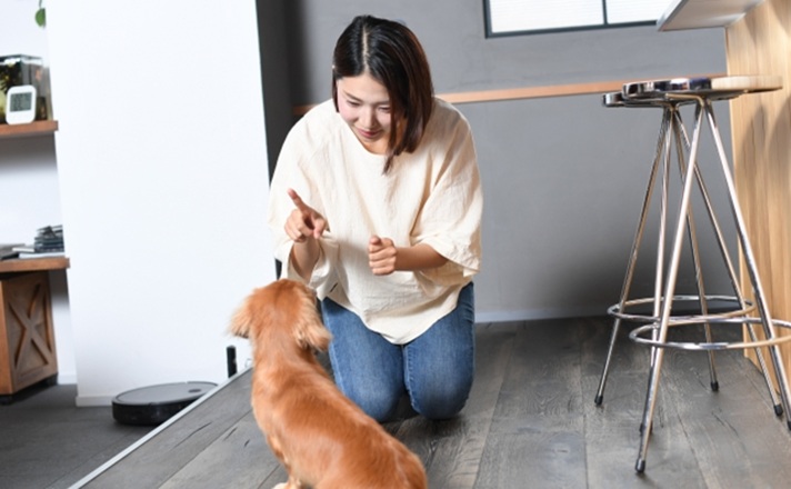 トレーニングをするダックスフンドと飼い主の女性
