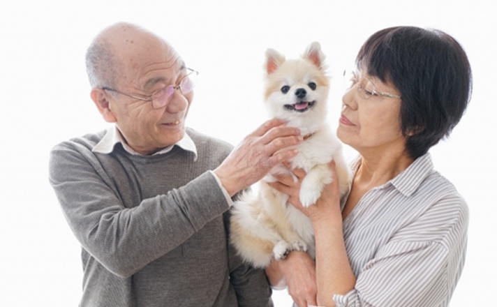夫婦とシニアのポメラニアン