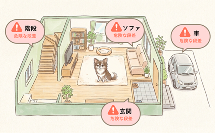 老犬にとって危険な段差