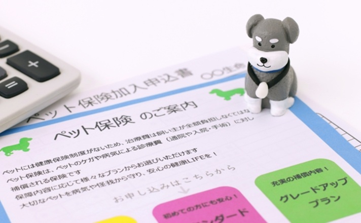 ペット保険の申込書